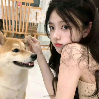 汤姆的农场旅行